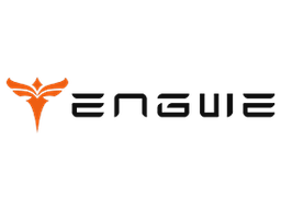 Engwe Coupons