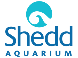 Shedd Aquarium Promo Codes