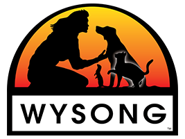 Wysong Promo Codes